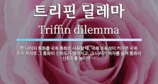 트리핀 딜레마 그림.PNG