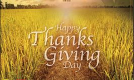 KakaoTalk_20231113_173523082.png