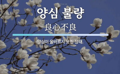 2025-04-19 16;07;35.PNG