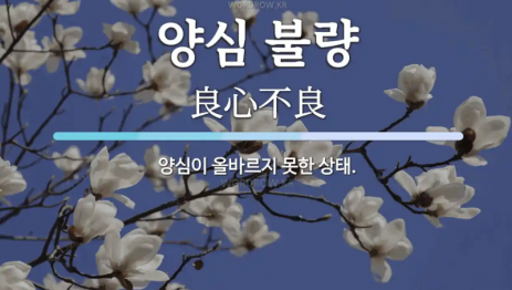 2025-04-19 16;07;35.PNG