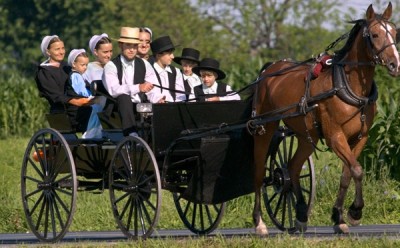 amish.jpg